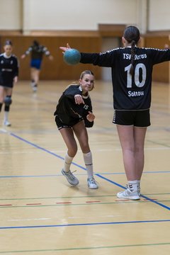 Bild 190 - wBJ TSV Ellerau - HSG Stoertal Hummeln : Ergebnis: 26:19